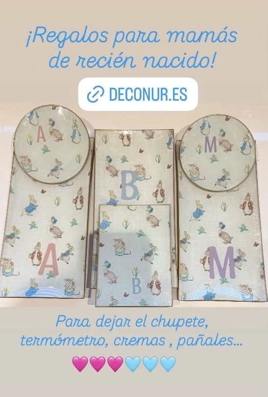 Diseño "Mini pig"