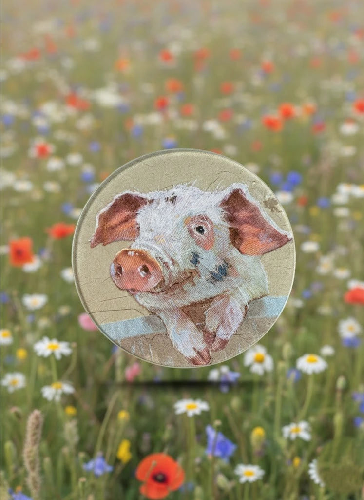 Diseño "Mis animales"