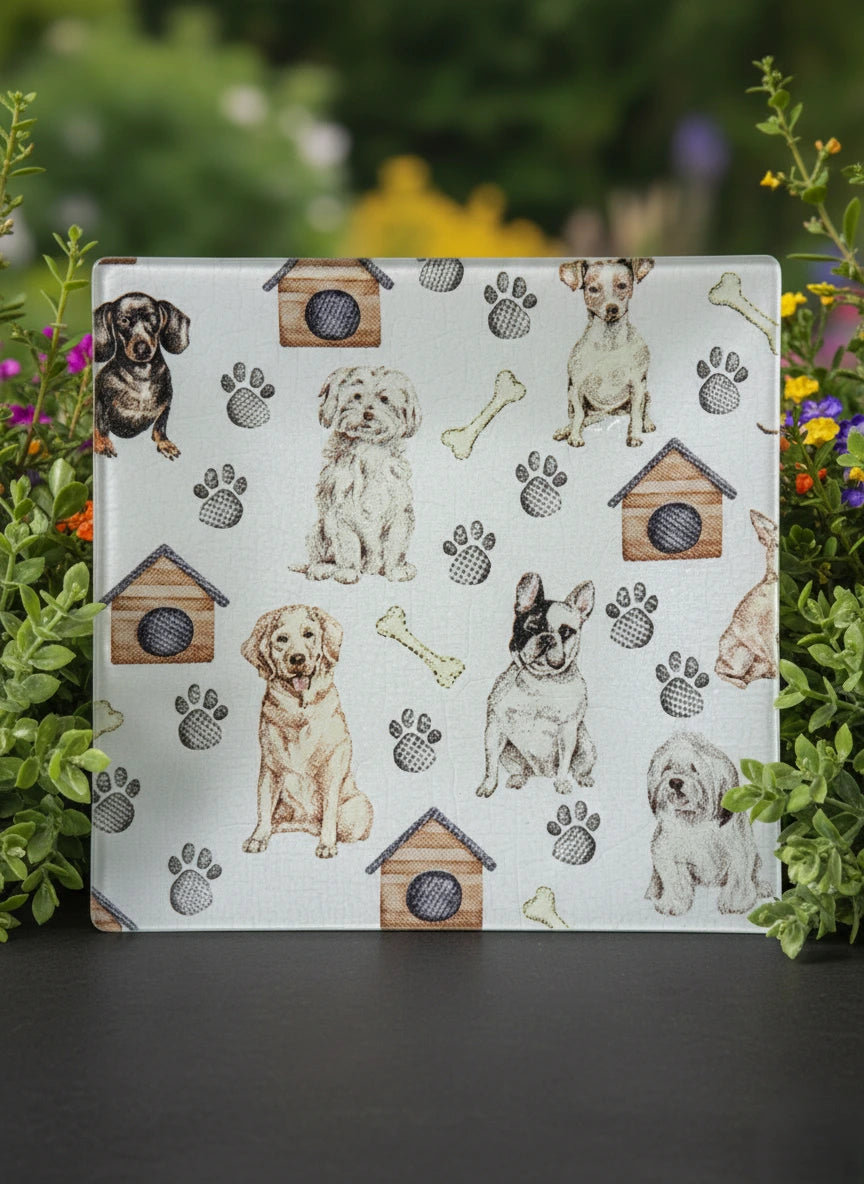 Diseño "Mis animales"