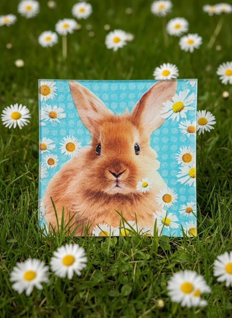 Diseño "Mis animales"